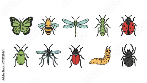 Insect Diversity: A captivating collection of various insects showcases the intricate beauty and diverse forms of nature's tiny inhabitants, perfect for entomology enthusiasts and design projects.