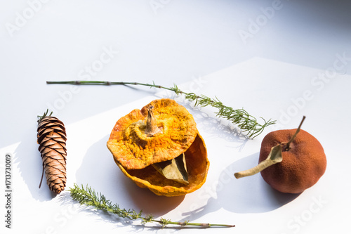 Dried pumpkin - container with a lid and a dried mandarin with a leaf, horsetail, and a spruce cone on a white background. Still life.