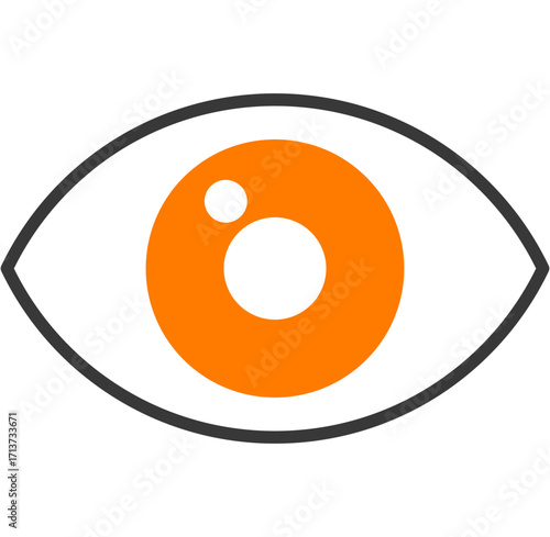 Vision