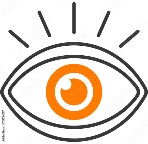 Vision
