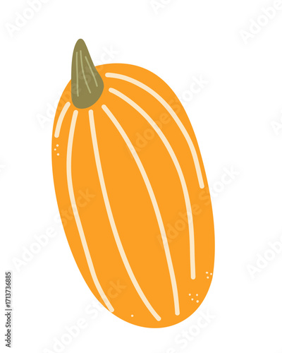 Yellow Pumpkin illustration. Thanksgiving nutritious healthy food. Autumn harvest festival. Vegetable isolated vector item on white background. November autumnal color flat spot illustration