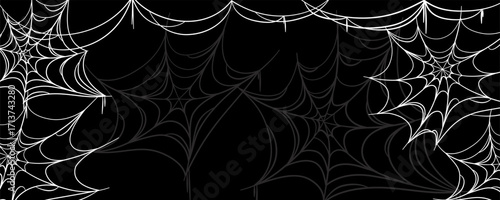 Black halloween background with white spider web. Halloween design with cobweb. Vector illustration