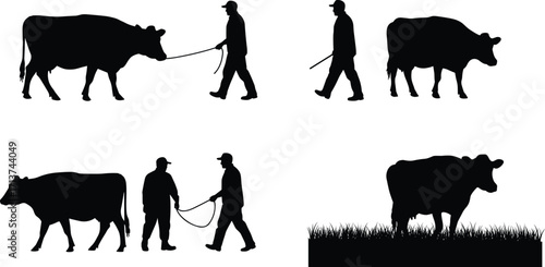 Silhouette farmer with cow, cattle walking, livestock grazing, agriculture illustration, dairy farming, village life, rural animal husbandry, black vector design