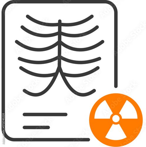 X Ray
