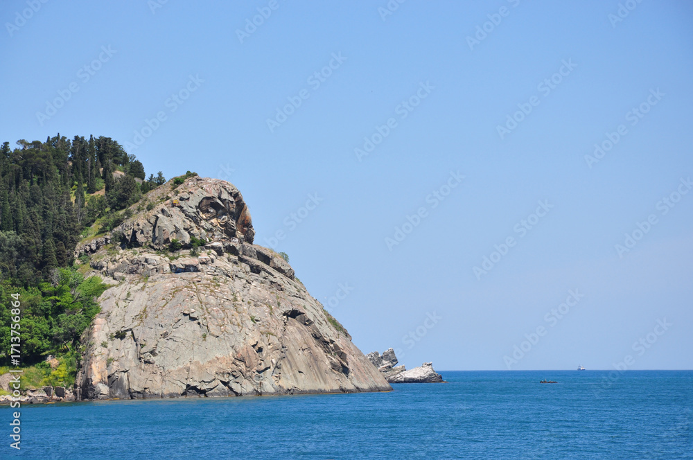 Fototapeta premium Massive coastal rock shaped like an owl head with textured stone surface, green forest above and calm sea under blue sky, perfect for nature, geology and travel themed backgrounds