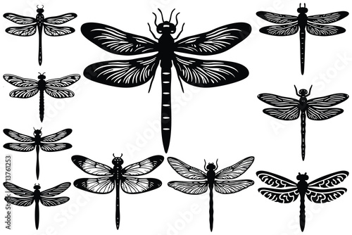 Collection of black dragonfly silhouettes with intricate wing patterns