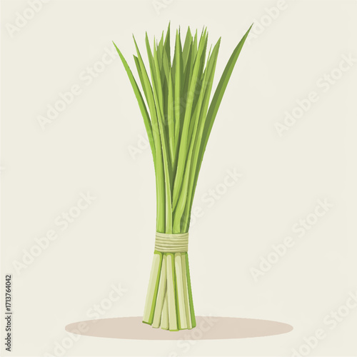 Bunch of Fresh Lemongrass Stalks