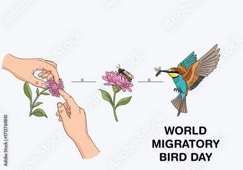 vector illustration of a hummingbird feeding from a flower with a human hand gently touching the plant for a World Migratory Bird Day theme of protecting habitats.