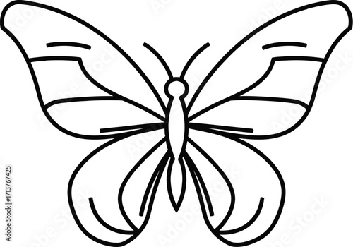 Elegant line art illustration of a butterfly with intricate wing patterns