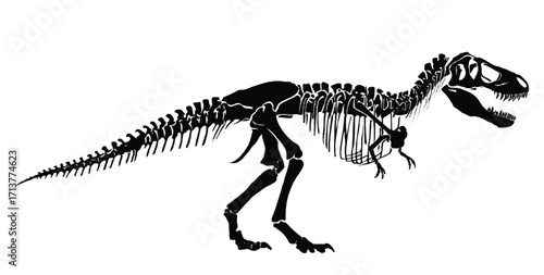 Tyrannosaurus Rex Skeleton Black Silhouette on White Background Perfect for Educational Resources or Historical Presentations