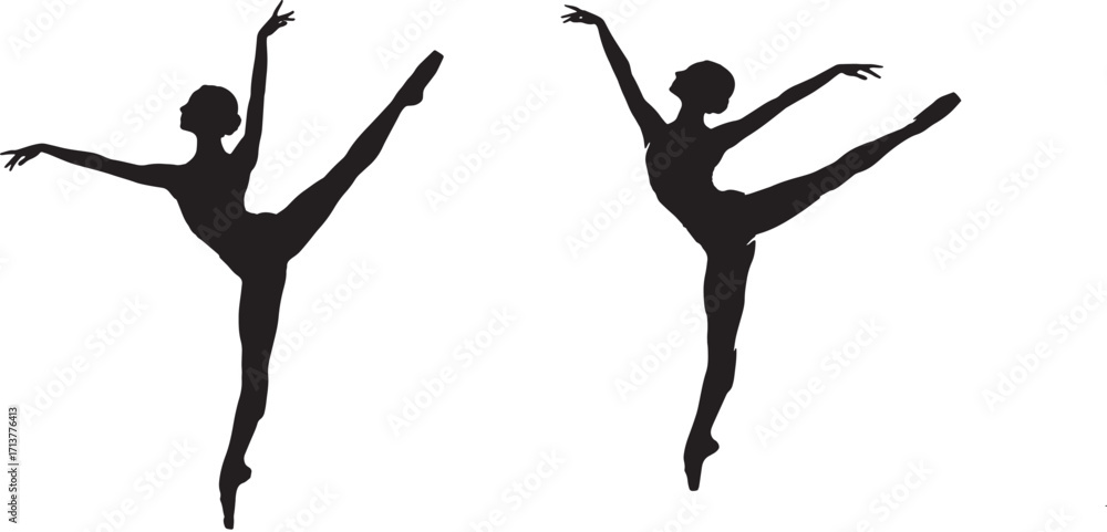 Fototapeta premium Silhouette of Two Ballerinas in Elegant Dance Poses