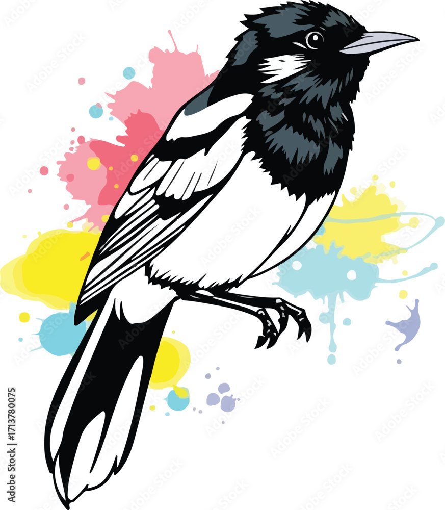 Fototapeta premium Magpie vector image logo