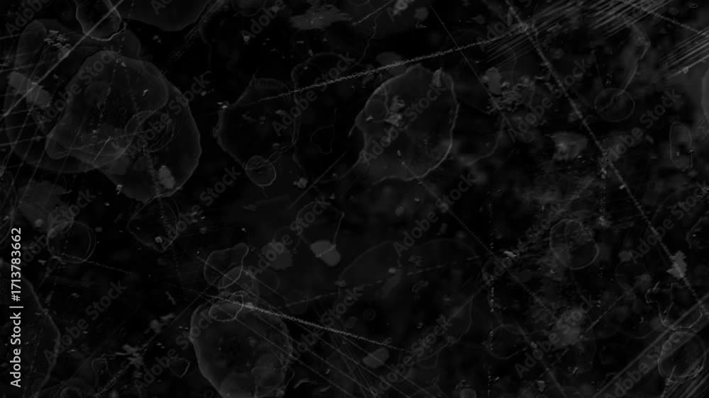 Dark abstract background with translucent organic shapes and scratches