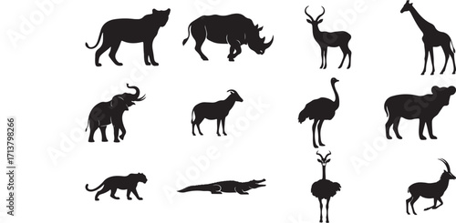African Animal Silhouette Collection | Wildlife Vector Icons for Safari, Zoo and Conservation Designs
