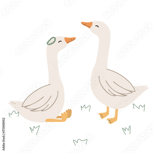 Cute geese in hand drawn flat style. Simple vector illustration for children's posters and greeting cards
