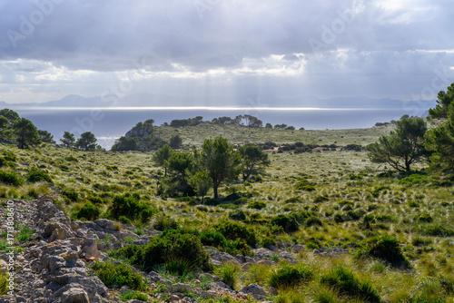 A magnificent meadow landscape at Cap de Formentor on the island of Mallorca