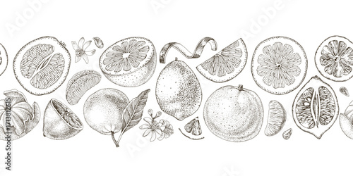 Seamless border with citrus fruits