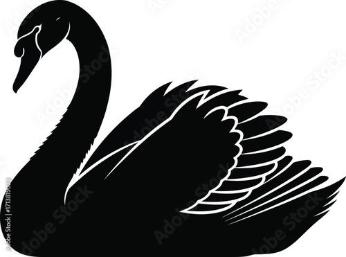 Elegant black swan silhouette graceful waterfowl bird elegant wildlife art vector