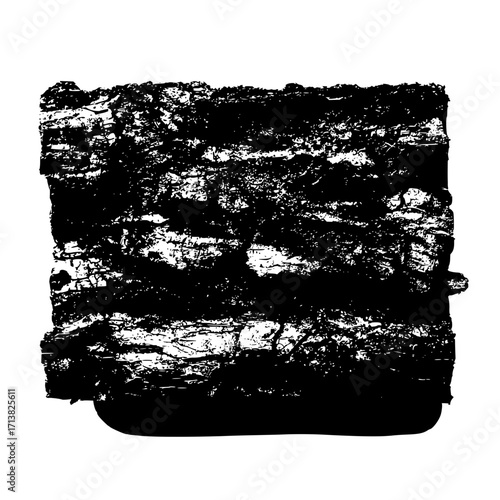 A black and white image depicting a close up of tree bark with a rough and textured surface detail view