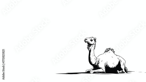 Resting Camel in Black and White Desert Art Illustration Simple Clean Background Design