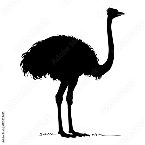 Elegant ostrich silhouette stands tall, showcasing unique features and wild beauty