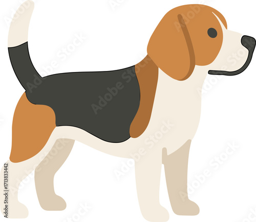 Simple Flat Illustration of a Standing Beagle Breed Domestic Animal