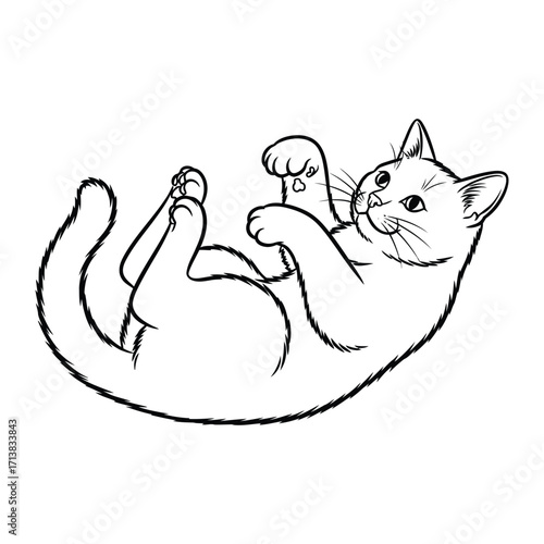 Playful feline in joyful repose: a monochromatic illustration of a domestic cat lying on its back, radiating a sense of comfort, ease, and playful spirit.