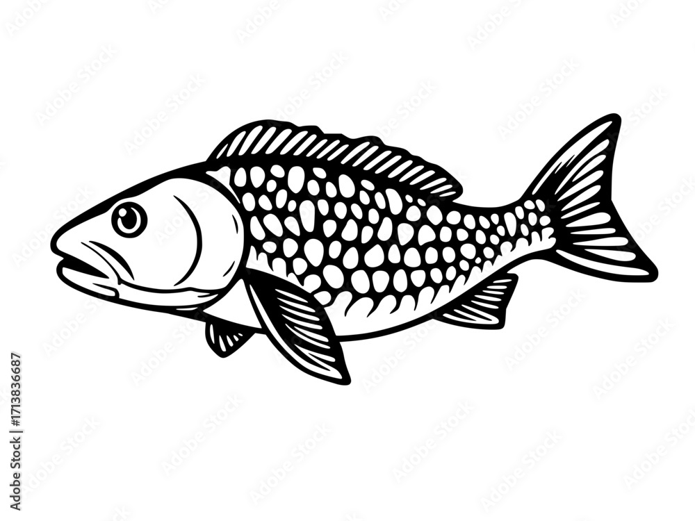 Fototapeta premium fish on a white background