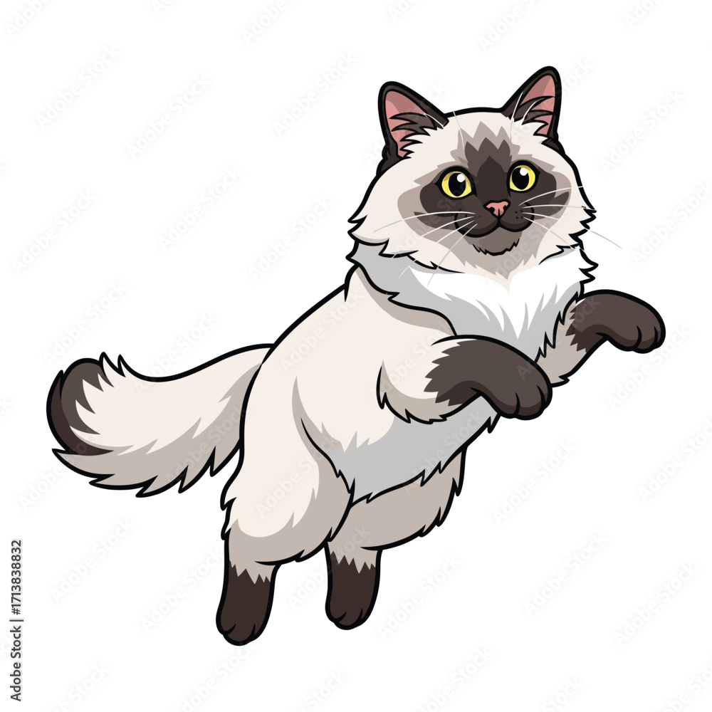 Obraz premium Graceful Feline Leap: A charming cat soars through the air with joyful movement, showcasing a sense of freedom and vitality. 