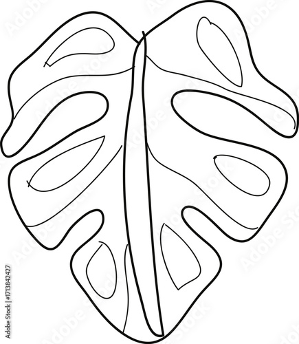 Detailed Black and White Outline of a Monstera Leaf with Unique Fenestrations