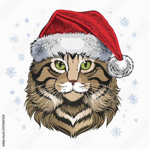 Weihnachtszeit