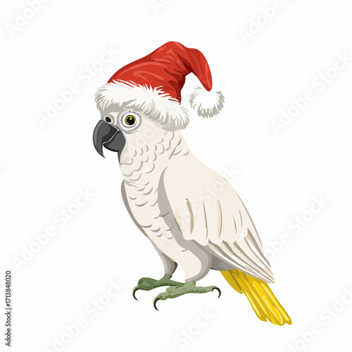 Weihnachtszeit