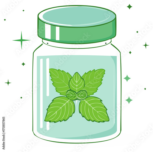 Fresh mint leaves preserved in clear jar with green lid, illustration of herbs