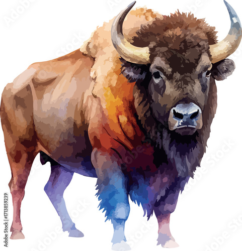 American Wild Buffalo Bison  Animal Colorful Watercolor Vector Illustration
