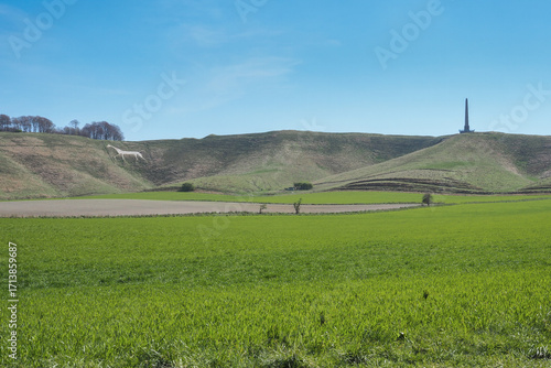 Lansdowne Monument, Cherhill Monument, with Cherhill White Horse, Wiltshire