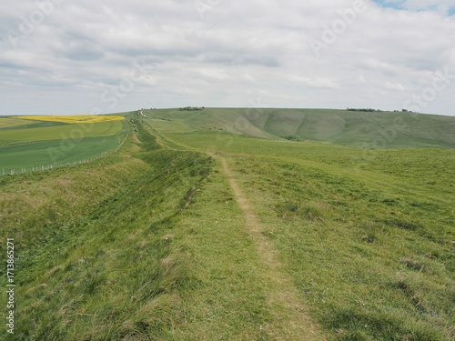 Looking towards Milk Hill along the Wansdyke linear earthwork, Wiltshire