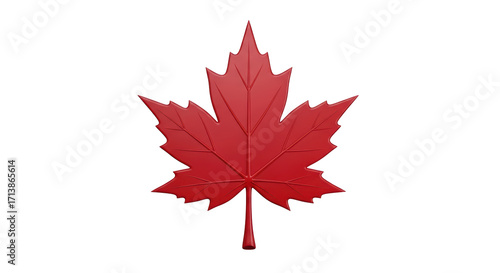 Isolated Canadian maple leaf emblem for national symbol, nature, and patriotism theme