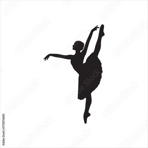 Silhouette of a ballerina in a graceful pose, extending one leg high while balancing on the other.