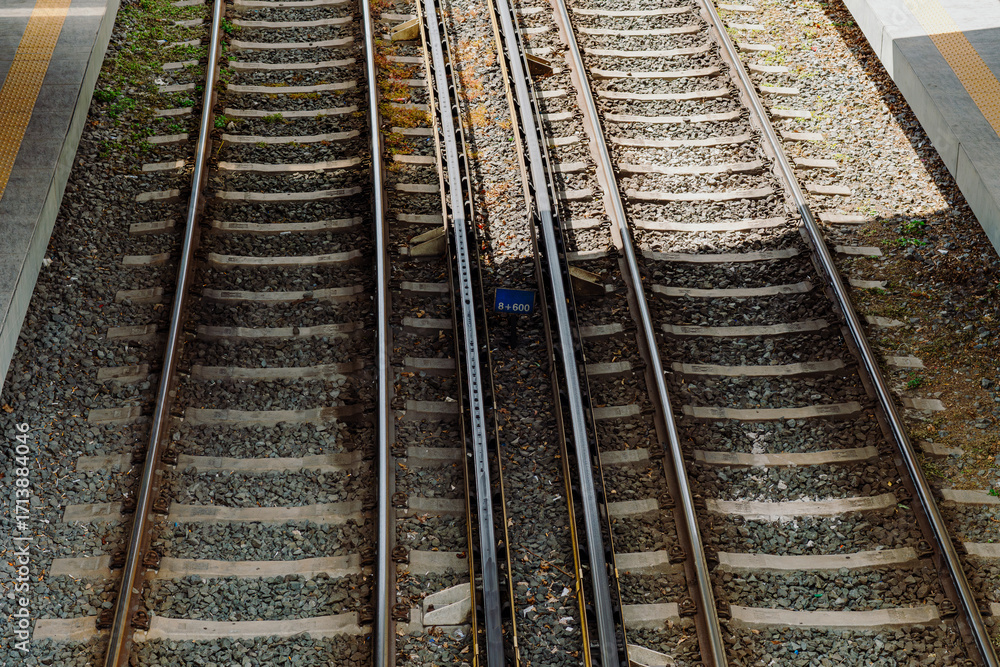 Fototapeta premium railroad tracks in the distance