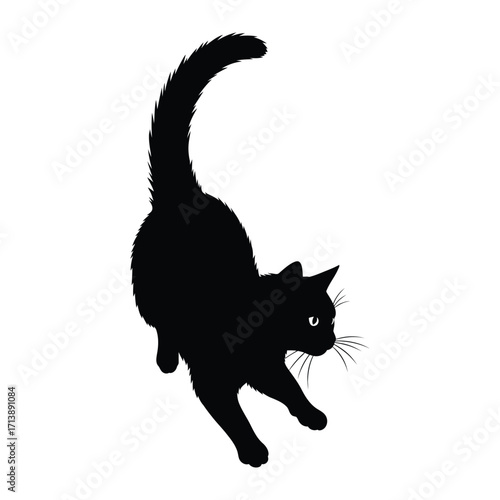 Silhouette of a Mischievous Feline: A sleek, black cat silhouette poised in a playful, curious stance, capturing the essence of feline grace and stealth.