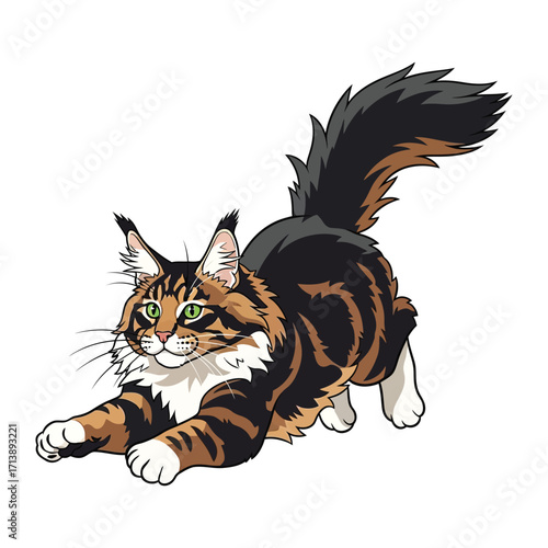 Majestic Maine Coon Cat in Playful Pose: A captivating illustration features a Maine Coon cat in an active pose, showcasing its unique coat and attentive eyes, perfect for adding charm to any project.
