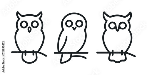 Set of three minimalist owl line drawings perched on branches