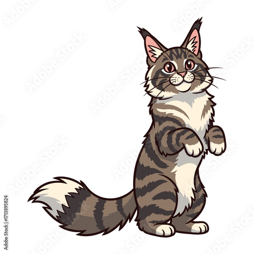 Maine Coon Cartoon: A friendly and inviting Maine Coon cat stands tall with a cheerful smile, ready to bring a touch of warmth to your creative projects.