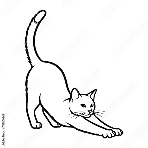 Playful Cat Stretching: A simple yet elegant monochrome illustration captures a domestic cat mid-stretch, showcasing the fluid grace and playful spirit of the feline form. 
