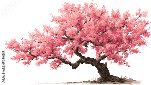 A digital painting or illustration of a cherry blossom tree. The tree is depicted in full bloom, with numerous pink blossoms covering its branches. The branches are detailed, showing individual