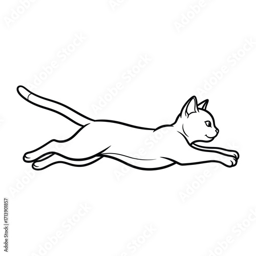 Black and White Cat Sketch: An elegant sketch captures the agile movement of a cat gracefully leaping, its body in full stride and tail extended in an eye-catching illustration.