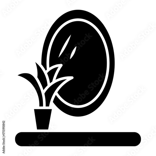mirror Solid icon