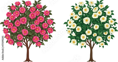 Pink and white flowering trees, seasonal bloom contrast, botanical foliage, stylized vector, nature illustration, garden design, vibrant canopy, spring flora