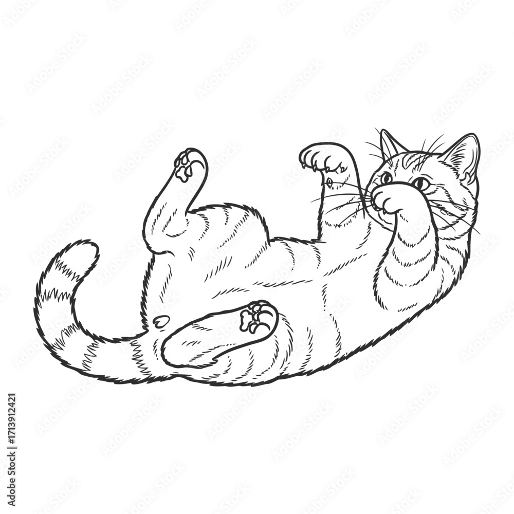 Fototapeta premium Playful Striped Cat: A charming black-and-white illustration of a domestic tabby cat playfully sprawled, offering a unique perspective on feline tranquility and relaxation. 