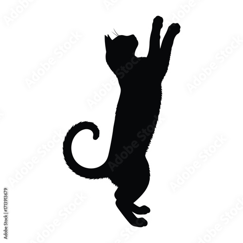 Shadow Play: The graceful silhouette of a domestic feline cat leaps upward, exuding elegance and poise. Its silhouette against the plain backdrop showcases the sleek contours of its form.
